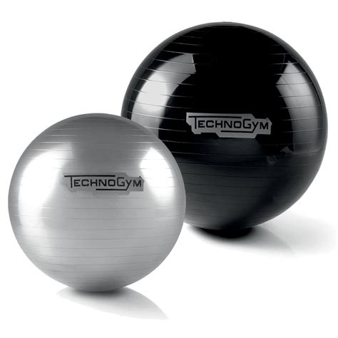 technogym wellness ball reviews.